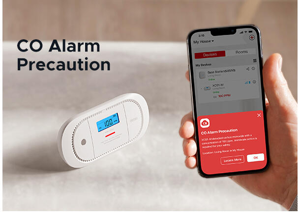 Trådløs CO detektor med display 5  års batteri