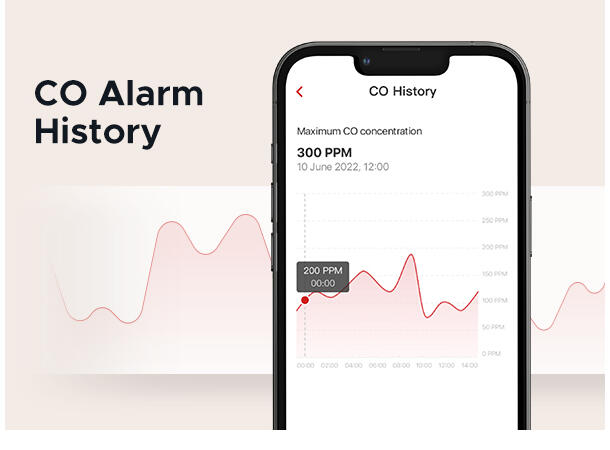 Trådløs CO detektor med display 5  års batteri