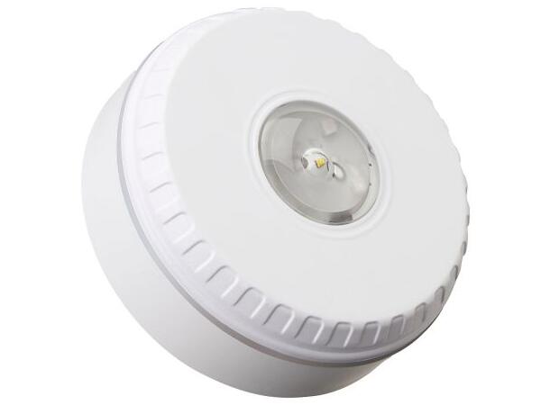 Innendørs strobe for takmontering - hvit 9-60Vdc, 10-25mA, 7,5m dekning