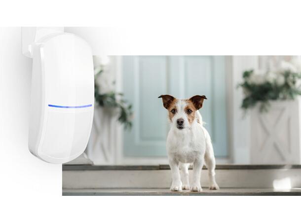 PIR detektor 15x20m - EOL 1,1K FG-EN2 (PIR-1149/20)